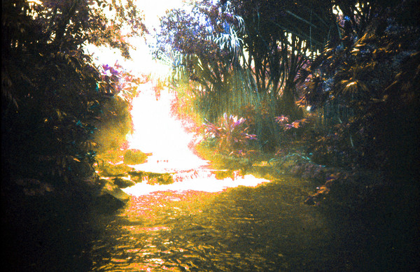 Product picture Molten Gold Tabacon Sunset